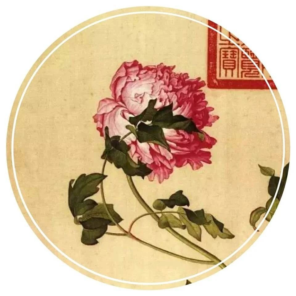 Why is the peony regarded as the "national flower"? what are its distinctive advantages?
